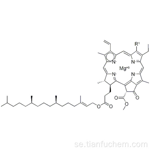 CHLOROPHYLL CAS 1406-65-1